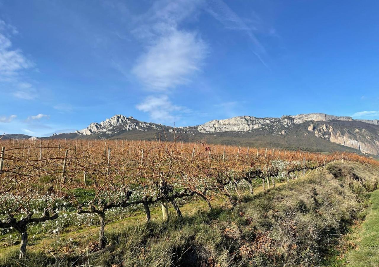 Alojamiento Rural Coliving Sojuela Extérieur photo